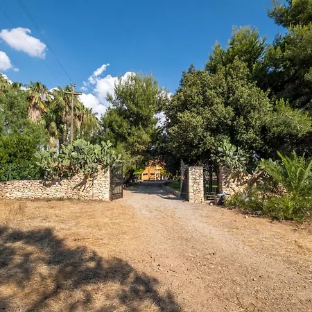فيلة La Quiete Della Campagna سانيكولا